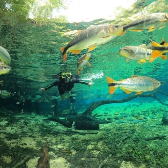 17 a 22 de Maio de 2025 BONITO- MATO GROSSO DO SUL